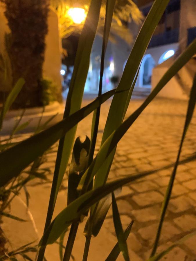 Dar Lola Djerba Panzió Humt Szuk Kültér fotó