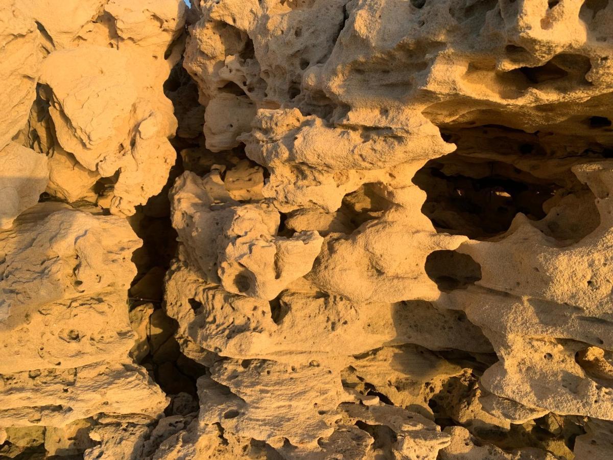 Dar Lola Djerba Panzió Humt Szuk Kültér fotó