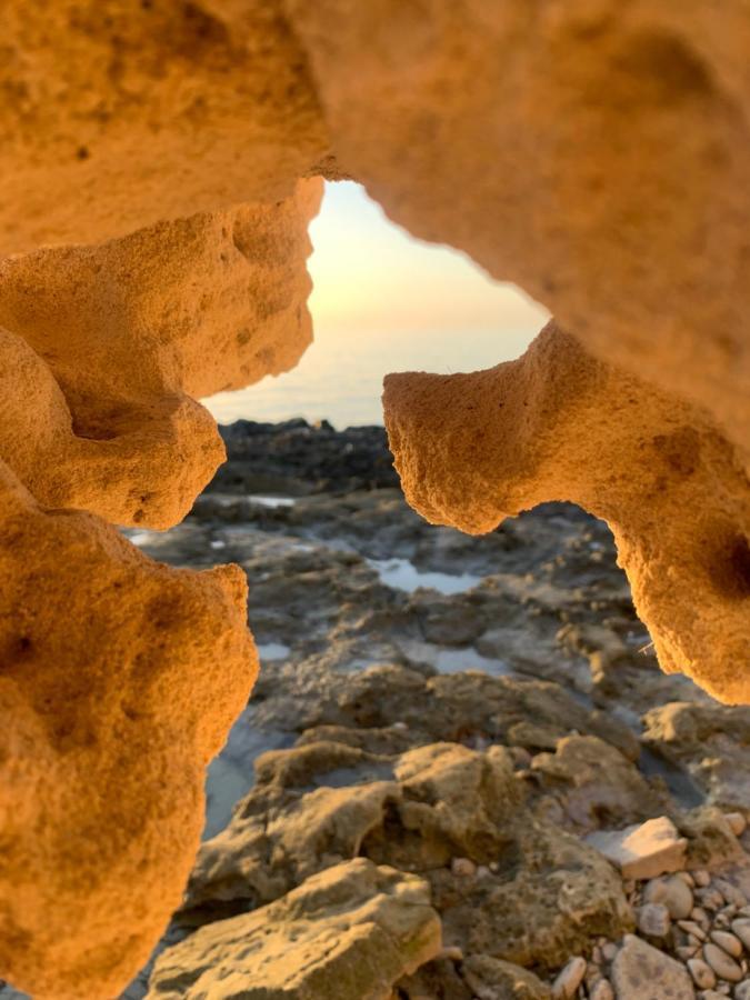 Dar Lola Djerba Panzió Humt Szuk Kültér fotó